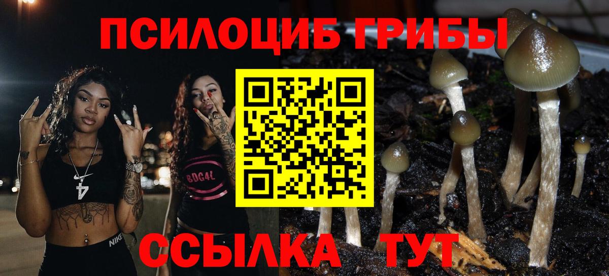 Псилоцибиновые грибы Magic Shrooms Лангепас